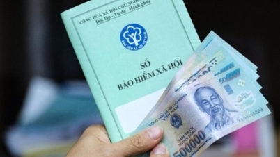 Quy định về mức hỗ trợ và phương thức hỗ trợ cho người tham gia bảo hiểm xã hội tự nguyện