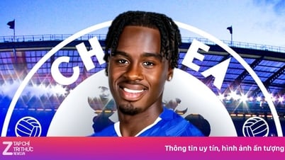 Chelsea ជ្រើសរើសបុគ្គលិកវ័យក្មេងក្នុងតម្លៃ 55 លានផោន