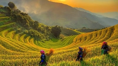 Ein Tag voller Erkundungen im Tu Le-Tal auf Bali, Vietnam