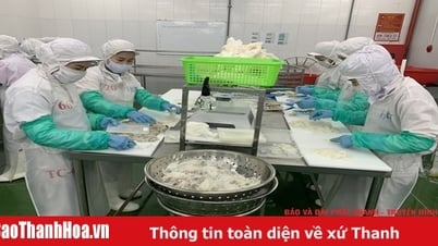 التنمية المستدامة لصناعة تجهيز المأكولات البحرية