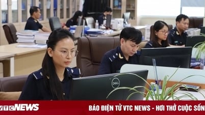 Tạm dừng tiếp nhận khai hải quan từ 22h ngày 30/6