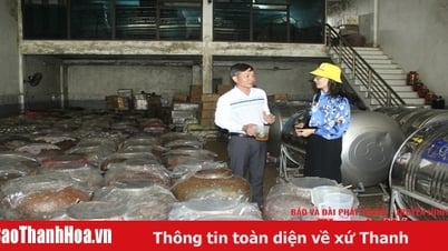 Cán đích nhiều mục tiêu quan trọng