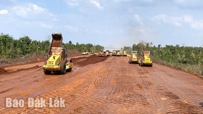 Chuyển giao nguyên trạng 14 ban quản lý dự án cấp huyện về tỉnh