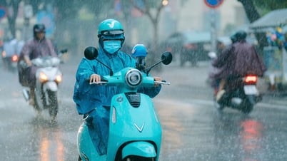 Thời tiết hôm nay 29/6: Miền nào cũng mưa, Bắc Bộ mưa rất to