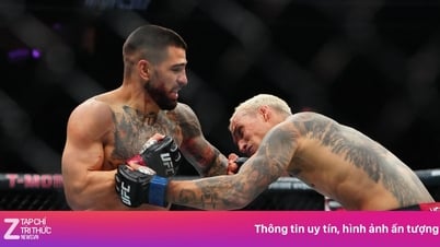 Topuria là hiện thân của Mike Tyson