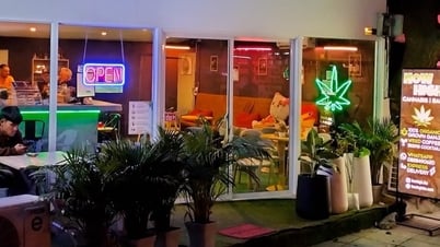 Après trois ans d'autorisation de fumer librement de la marijuana, la Thaïlande fait volte-face et se prépare à l'interdire
