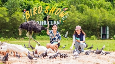 Kinh tế tăng trưởng, tạo tiền đề cho sáp nhập