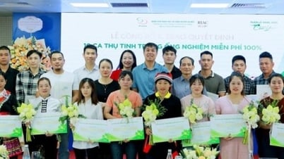 Ngày Gia đình Việt Nam: Mang hy vọng đến cho các cặp vợ chồng vô sinh, hiếm muộn