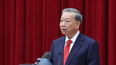 事務総長：連帯の力