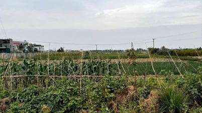 21 dự án đầu tư công cấp huyện bàn giao về Ban Quản lý dự án đầu tư xây dựng tỉnh