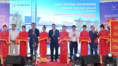 VinFast Linh Lực Gia Lai: Thêm địa chỉ tin cậy cho khách hàng yêu thích xe điện