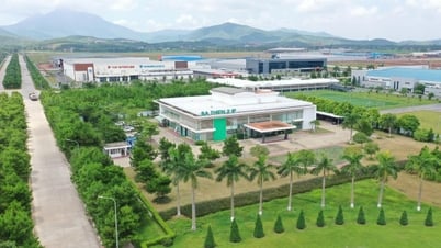 Developing green industry, taking the lead in strategic capital flows, creating the foundation for building a new Phu Tho province