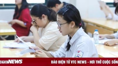 'IELTS 8.0은 여전히 ​​영어 문제로 답답한데, 외딴 지역의 지원자는 어떻게 해야 할까요?'