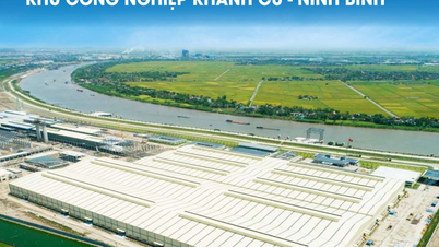 Thành lập Ban Quản lý Khu kinh tế và các khu công nghiệp tỉnh Ninh Bình
