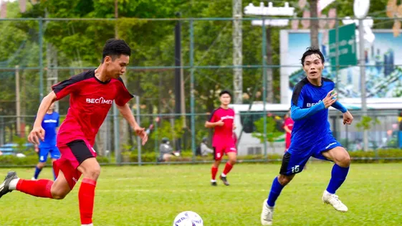 빈즈엉은 약 200개 팀이 참가하는 역대 마지막 축구 토너먼트를 개최했습니다.