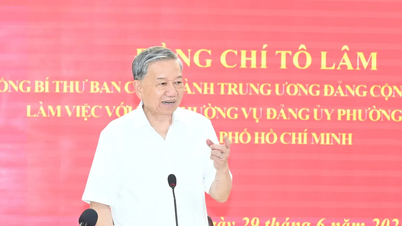 Tổng Bí thư Tô Lâm: TPHCM đủ điều kiện vận hành mô hình chính quyền địa phương 2 cấp