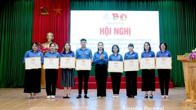 Tặng Bằng khen cho 64 tập thể, 49 cá nhân có thành tích xuất sắc trong công tác Đoàn, Đội và phong trào thiếu nhi, thanh niên trường học