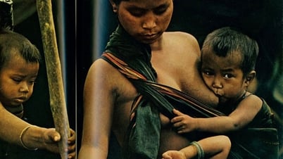 Bức ảnh người mẹ Tây Nguyên truyền cảm hứng cho âm nhạc