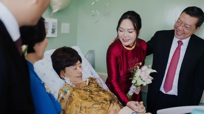 Đám cưới đặc biệt bên giường bệnh