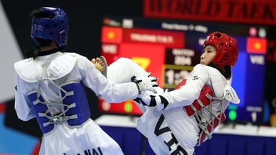 Taekwondo Việt Nam tự chơi với nhau là chính