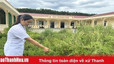 ការលើកកម្ពស់សមត្ថភាពរបស់ស្ថានីយ៍សុខភាពឃុំ សង្កាត់ និងក្រុង
