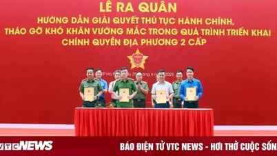 テクノロジー 6月29日: 電子識別「チーム」を立ち上げ、Xanh SMが国際賞を受賞