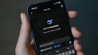DeepSeek ប្រឈមមុខនឹងការហាមឃាត់នៅក្នុងប្រទេសជាច្រើន។
