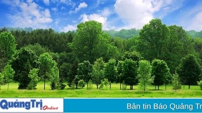 Tổ chức WWF tài trợ hơn 114,8 tỉ đồng thực hiện các giải pháp thuận thiên trong lĩnh vực lâm nghiệp và môi trường