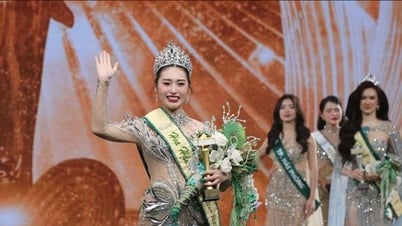 Beauty Ngo Thi Tram Anh crowned Miss Earth Vietnam...