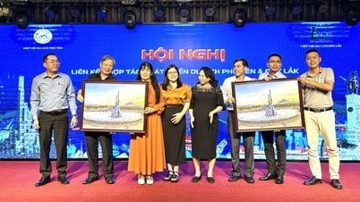 Giao thoa biển - rừng: Hướng mở mới cho du lịch Phú Yên - Đắk Lắk