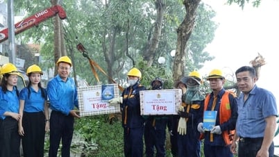 Công đoàn Hà Nội tiếp nhận 151 Công đoàn cơ sở