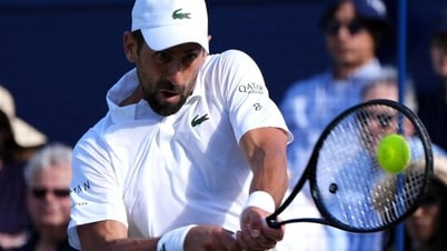 Djokovic đặt hết kỳ vọng vào Wimbledon