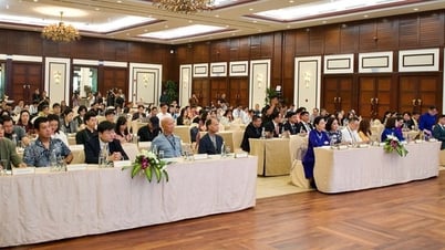 เทศกาลภาพยนตร์เอเชียดานังครั้งที่ 3: ก้าวล้ำในด้านขนาด