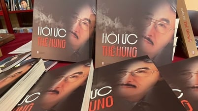 صور 56 فنانًا مشهورًا في كتاب دكتور التجميل The Hung