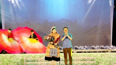 Chương trình nghệ thuật đặc biệt “Miền đá hội nhập và phát triển”
