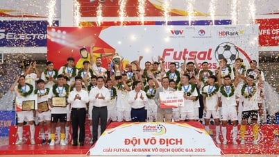 タイ・ソンナムTP.HCMが14回目の全国選手権優勝を果たした。
