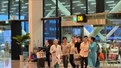 Hành trình hồi sinh sự sống cùng chuyến bay đặc biệt của Vietnam Airlines