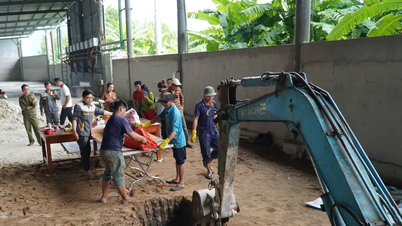 Cá heo chết trên sông Ông Đốc (Cà Mau)