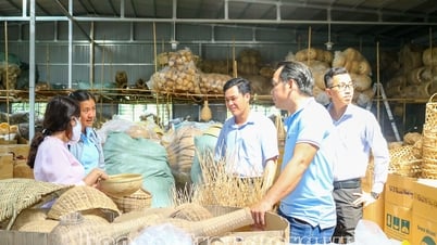 Cooperative economic model - a bright spot in poverty reduction