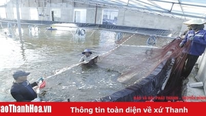 الاستثمار في مناطق تربية الأحياء المائية المركزة