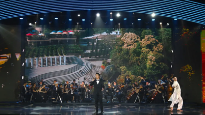 Opening of the 3rd Danang Asian Film Festival