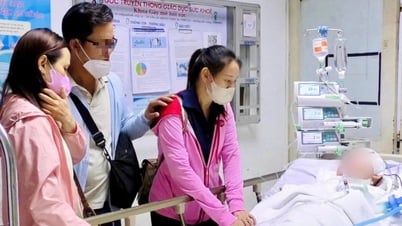 Trắng đêm "hồi sinh" 3 sự sống nhờ tim và 2 thận của người hiến chết não