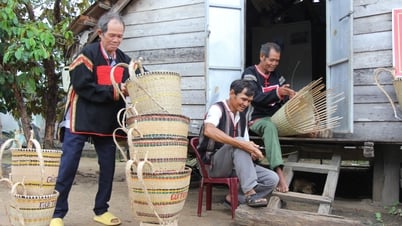 Hội Nông dân Khánh Hòa: Thành lập mới 8 tổ hội nghề nghiệp