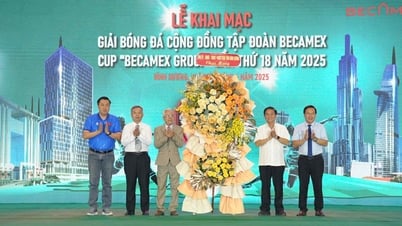 Gần 200 đội tranh tài giải bóng đá cộng đồng Tập đoàn Becamex 2025