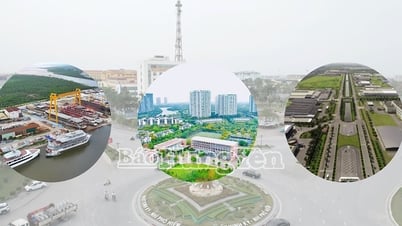 المشاريع الرئيسية لشركة هونغ ين - تاي بينه
