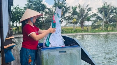 Kinh nghiệm nuôi cá năng suất cao của nông dân Tứ Kỳ