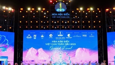 Nguyen Hoai Phuong Anh coronada Miss Sea Vietnam Global 2025