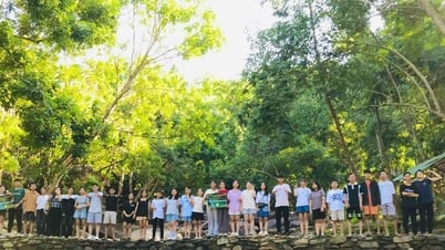 Vườn rừng sinh thái Suối Xanh