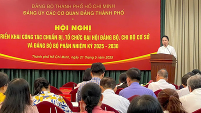The Party Committee of the Party agencies of Ho Chi Minh City established 4 working groups to monitor and direct the congress.