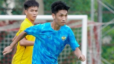 Trong Dai plays in the second division for Gia Dinh Club